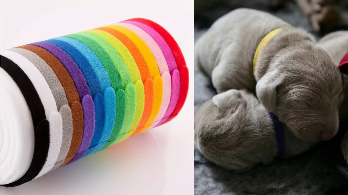 rozlišovací obojky 12 ks pro štěňata